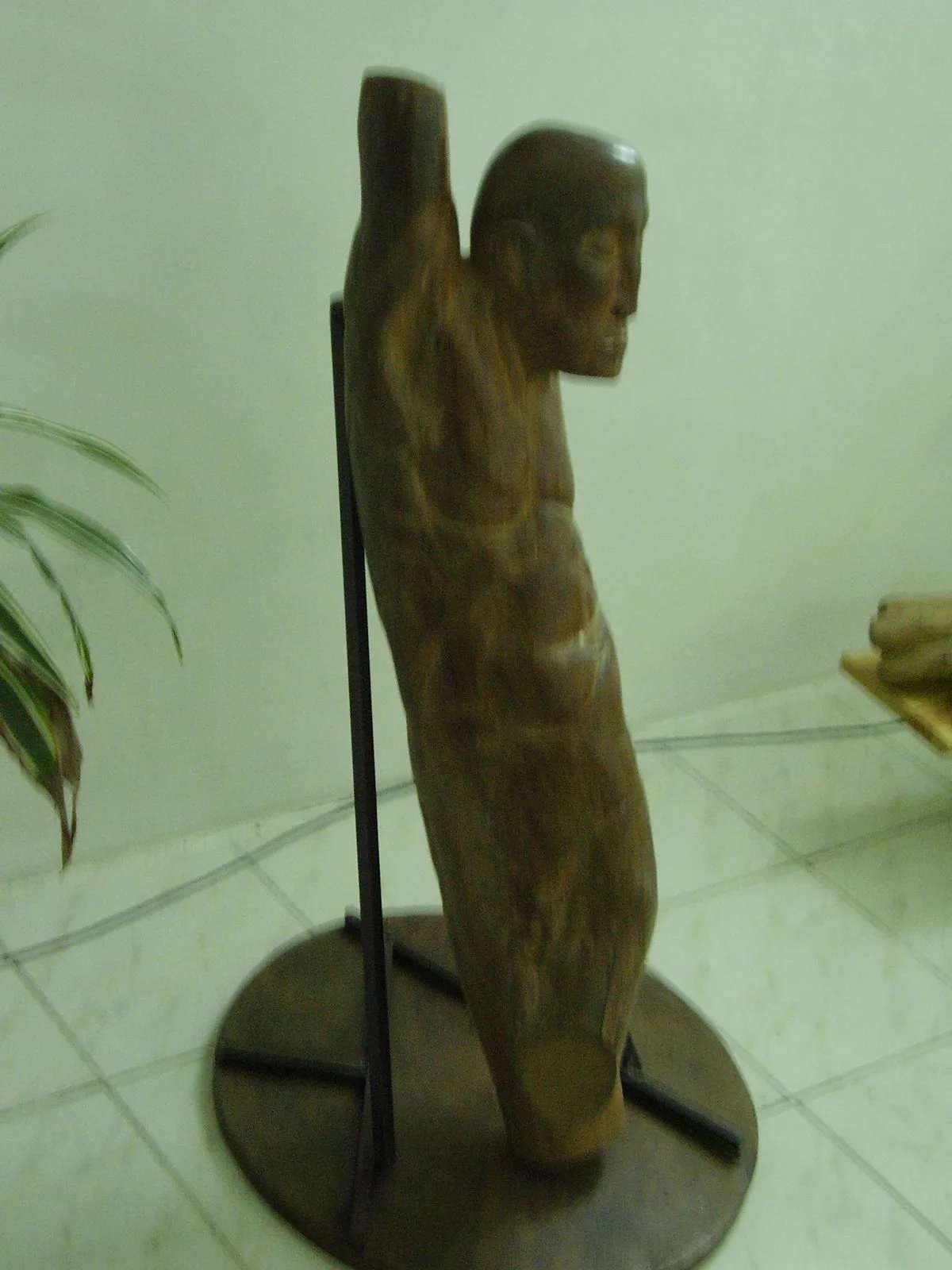 Body