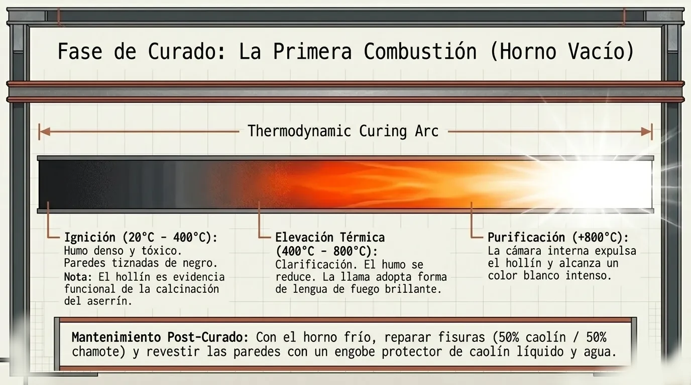 Fase de Curado